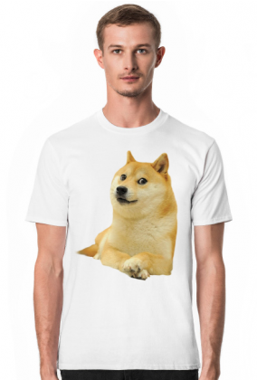 Pieseł Doge koszulka (różne kolory)