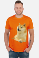 Pieseł Doge koszulka (różne kolory)