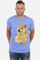 Pieseł Doge koszulka (różne kolory)