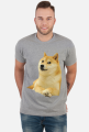 Pieseł Doge koszulka (różne kolory)
