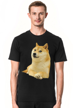 Pieseł Doge koszulka (różne kolory)