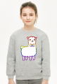 LGBT / TOLERANCJA | LAMA - bluza dziecięca bez kaptura
