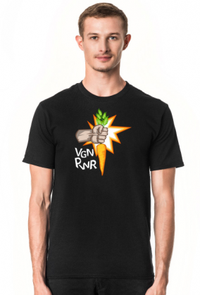 VGN PWR