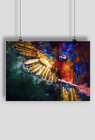 plakat papuga watercolor