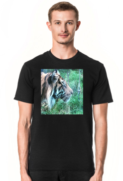 Tiger collection
