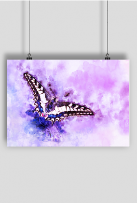 Plakat a1 watercolor, motyl