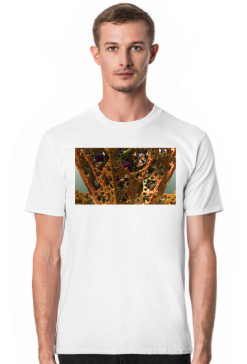 Menger1