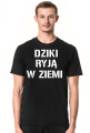 Dziki ryją w ziemi