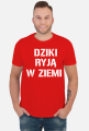 Dziki ryją w ziemi