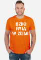 Dziki ryją w ziemi