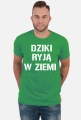 Dziki ryją w ziemi