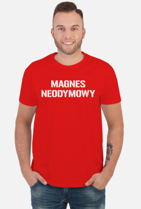 MAGNES NEODYMOWY
