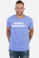MAGNES NEODYMOWY