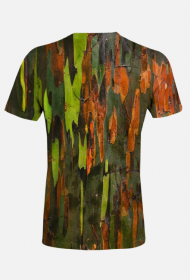 Abstract