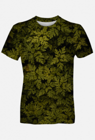 Leafs
