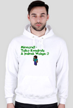 Cała Prawda O Minecraft :)