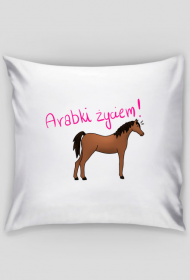 Poduszka ,,Arabki Życiem”