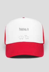 czapka bull and bear