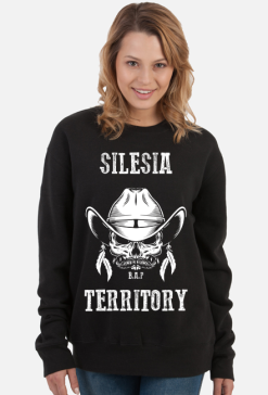 Silesia Territory