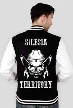 Silesia Territory
