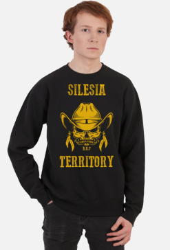 Silesia Territory