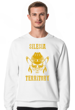 Silesia Territory