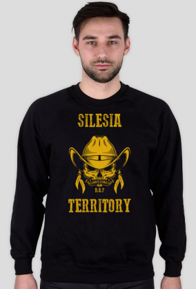 Silesia Territory