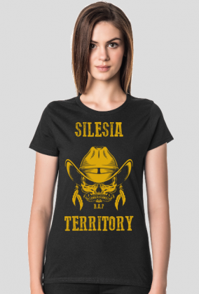 Silesia Territory