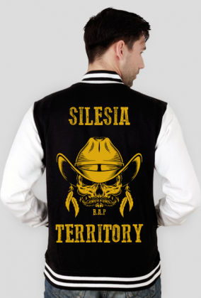 Silesia Territory