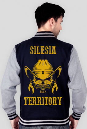 Silesia Territory