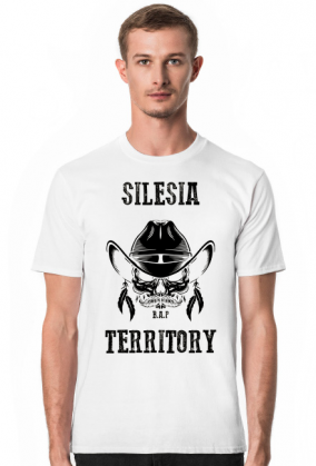 Silesia Territory