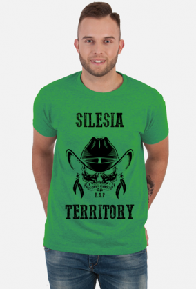 Silesia Territory