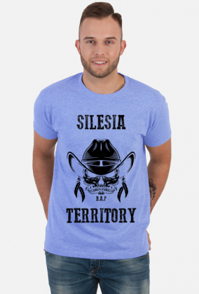 Silesia Territory