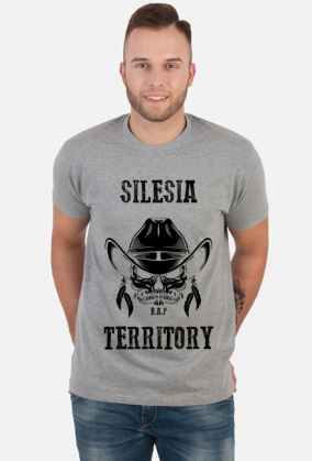 Silesia Territory