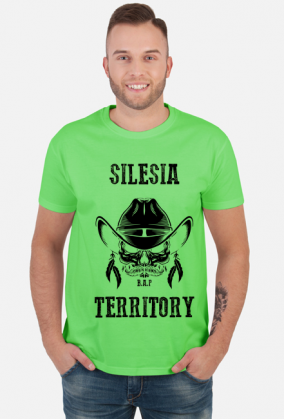 Silesia Territory