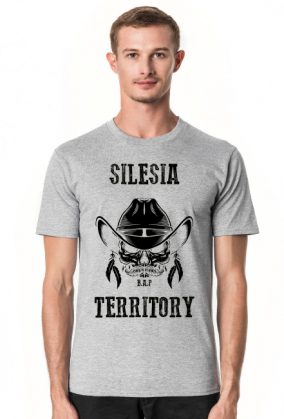 Silesia Territory