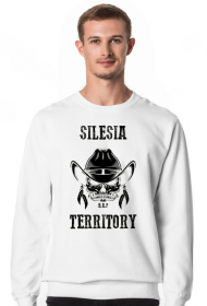 Silesia Territory