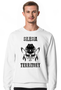 Silesia Territory