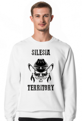 Silesia Territory