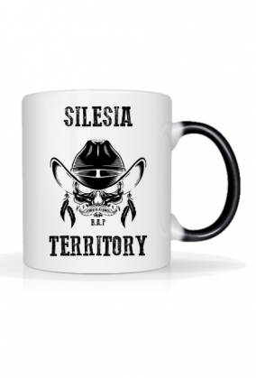 Silesia Territory
