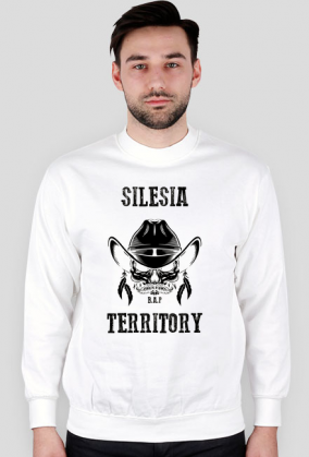 Silesia Territory