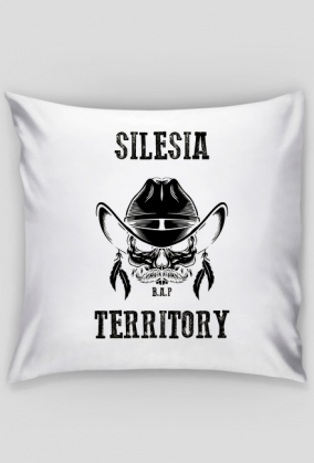 Silesia Territory