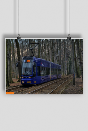 Plakat PESA Twist