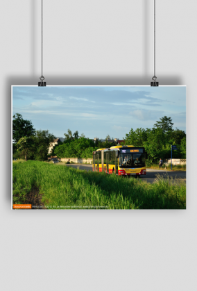 Plakat MAN Lion's City G