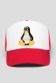 Czapeczka Linux