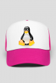 Czapeczka Linux