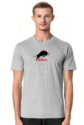 Bullrun