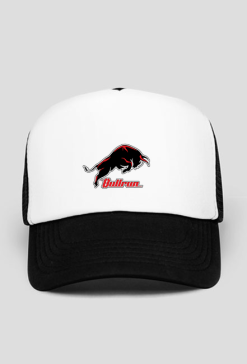 bullrun_C