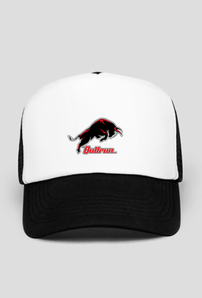 bullrun_C