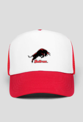 bullrun_C
